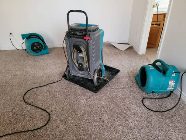 Best Professional water damage repair  in Santa Ana Pueblo, NM