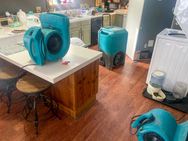  Santa Ana Pueblo, NM Water damage restoration Pros