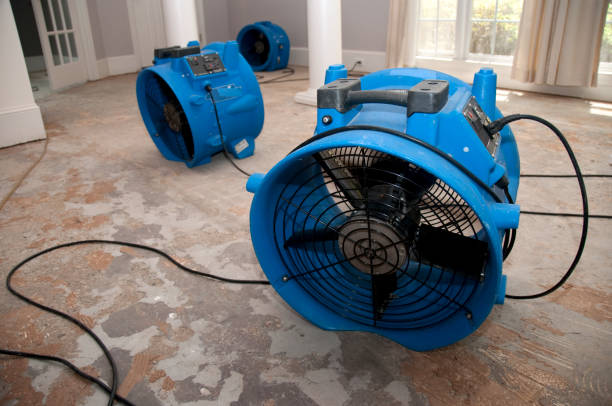 Best Mold removal after water damage  in Santa Ana Pueblo, NM