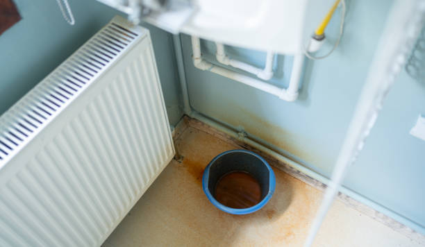 Water damage restoration mold remediation in NM