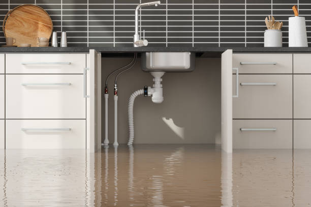 Best 24/7 water damage repair  in Santa Ana Pueblo, NM