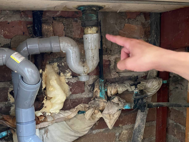 Best Water damage contractors near me  in Santa Ana Pueblo, NM