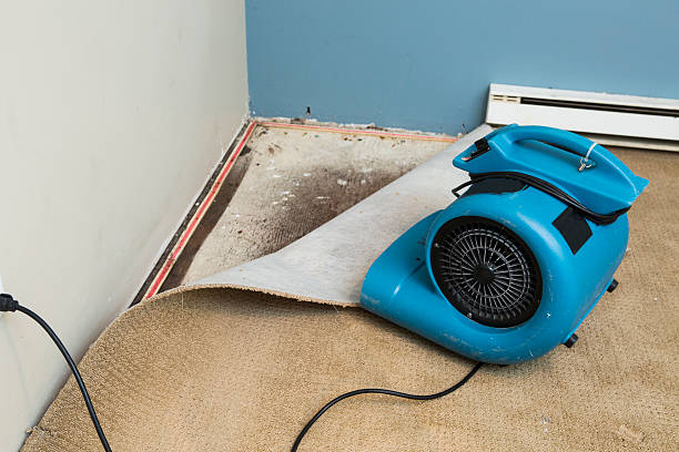 Best Residential water damage restoration  in Santa Ana Pueblo, NM